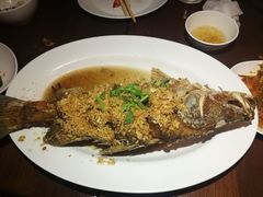 -Rimpa Lapin悬崖餐厅
