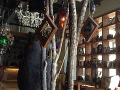 picture-Africafe(非洲咖啡)