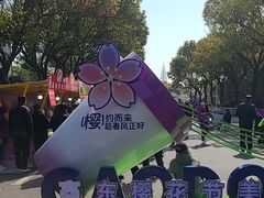 -高东镇樱花园