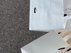 -BLACKSWAN黑天鹅(环球店)