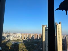 -君悦酒店·乐厨·高空自助餐(青年大街店)