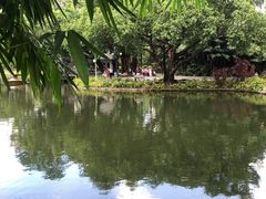 -晓港公园