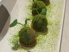 -荟廷·晶萃(陆家嘴尚悦湾店)