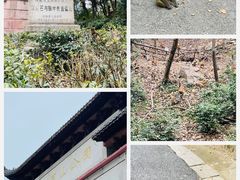 -黔灵山公园