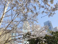 -西北湖绿化广场