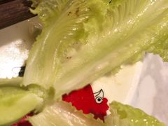 -广顺鑫猪肚鸡(经八路店)