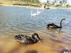 -南京金牛湖风景区