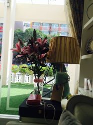 -悦己堂美容养生SPA