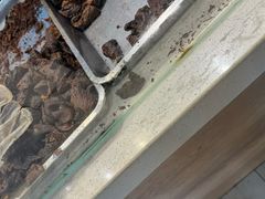 -都士牧人现烤牛肉干