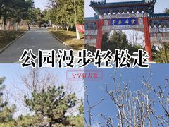 -云岗森林公园