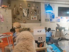 -平行世界·猫咖(首经贸店)