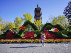 -西海子公园