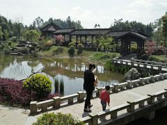 -邓小平故里