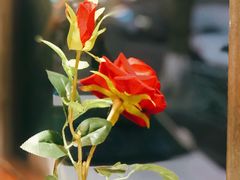 -船家渔(徐州北路店)