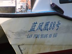 -放鸡岛生态旅游国际度假区