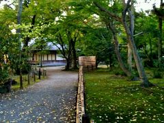 -名古屋城