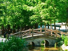 -白水寺森林公园