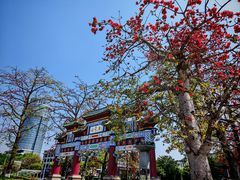 -星湖旅游景区七星岩