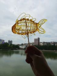 -灵伽瑜伽
