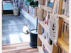 -猫的天空之城概念书店(苏州平江店)