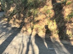 -小南山公园