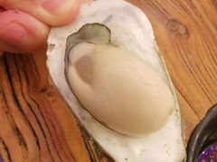 生蚝-七裕庄(凯旋南路店)