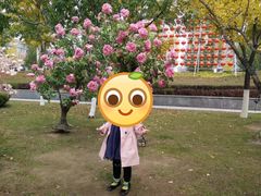 -章樾公园