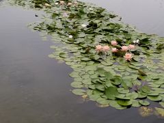 -同济大学(嘉定校区)