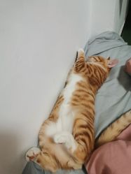 -初NAIL日式美甲美睫沙龙