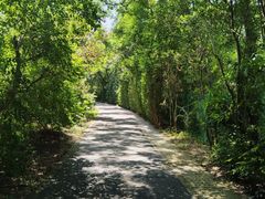 -华侨城湿地公园