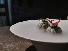 -觀芷隐轩
