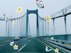 -星海湾跨海大桥