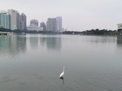 -白鹭洲公园