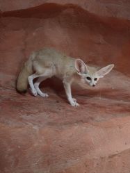 -Zoolung Zoolung动物主题公园(海信广场店)