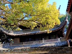 -天一阁博物院