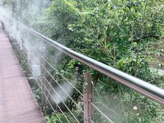 -宁波五龙潭景区