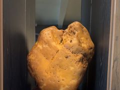 -浩运·海鲜青岛菜·海胆水饺(石老人店)