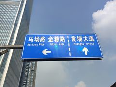 -老刘生态大鱼坊铁锅炖鱼(赛马场店)