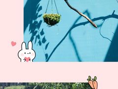 -无锡动物园·太湖欢乐园