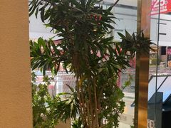 -吴家·非遗淮扬小馆(镇江万达广场店)
