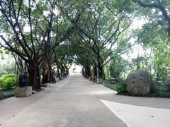 -广州雕塑公园