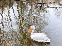 -济南野生动物世界