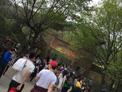 -木兰云雾山