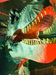 -恐龙探索乐园(磁器口店)