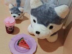 -Husky Go! 哈士奇体验馆·宠物咖啡厅狗咖