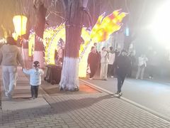-北戴河集发农业梦想王国