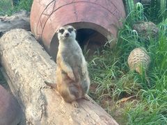 -大连森林动物园