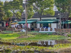 -丫丫蟹庄·苏式园林农家乐·阳澄湖大闸蟹(阳澄湖莲花岛店)