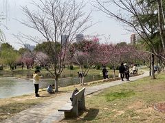 -堤角公园