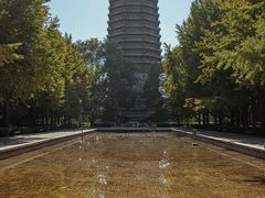 -玲珑塔公园